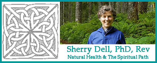 Sherry Dell, PhD, Rev Logo